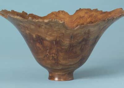 Burr elm 170mm dia.