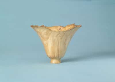 Burr maple 150mm dia.